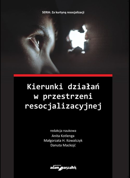 Image of Kierunki działań w przestrzeni resocjalizacyjnej