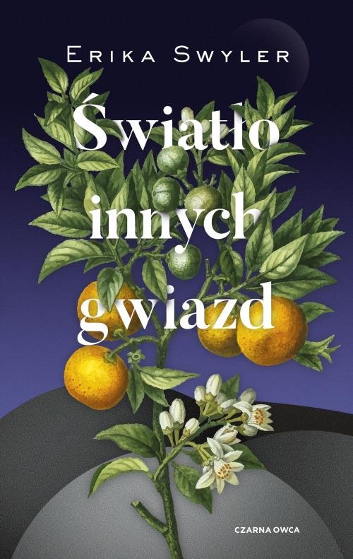 Image of Światło innych gwiazd