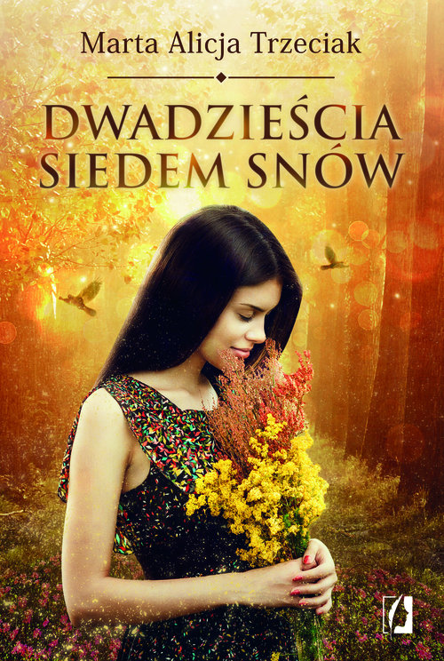 Image of Dwadzieścia siedem snów Wielkie Litery