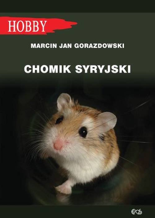 Image of Chomik syryjski