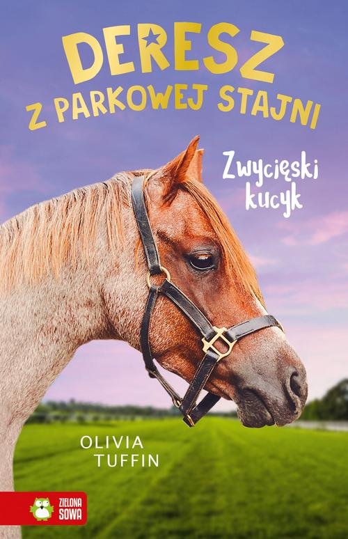 Image of Deresz z Parkowej Stajni Zwycięski kucyk