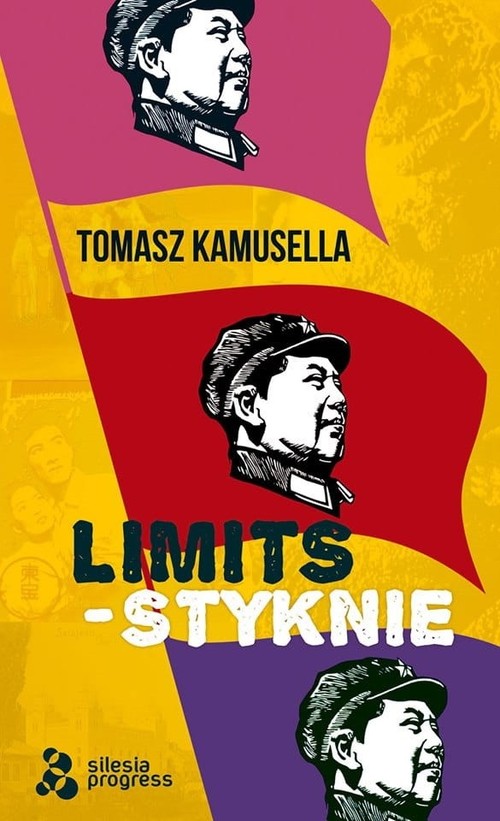 Image of Styknie / Limits / Silesia Progress
