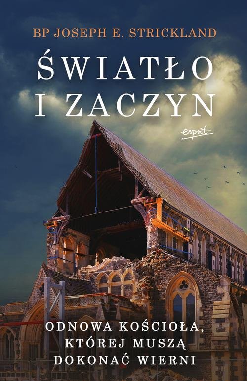 Image of Światło i zaczyn Odnowa Kościoła, której muszą dokonać wierni