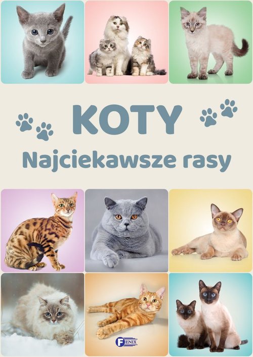 Image of Koty Najciekawsze rasy