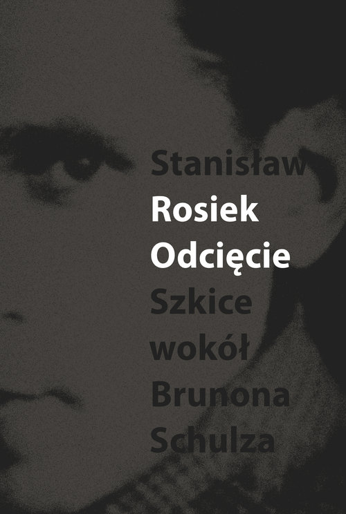 Image of Odcięcie Szkice wokół Schulza