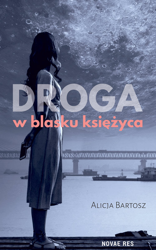 Image of Droga w blasku księżyca