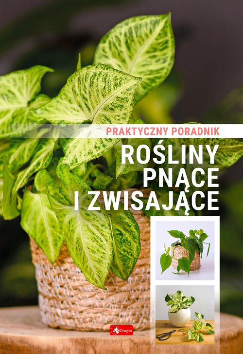 Image of Rośliny pnące i zwisające Poradnik praktyczny