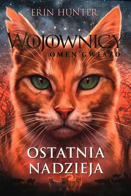 Image of Wojownicy Omen gwiazd 6 Ostatnia nadzieja