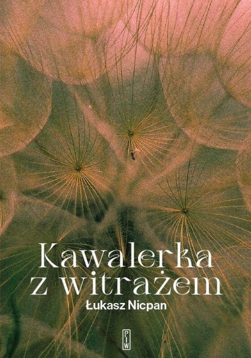 Image of Kawalerka z witrażem