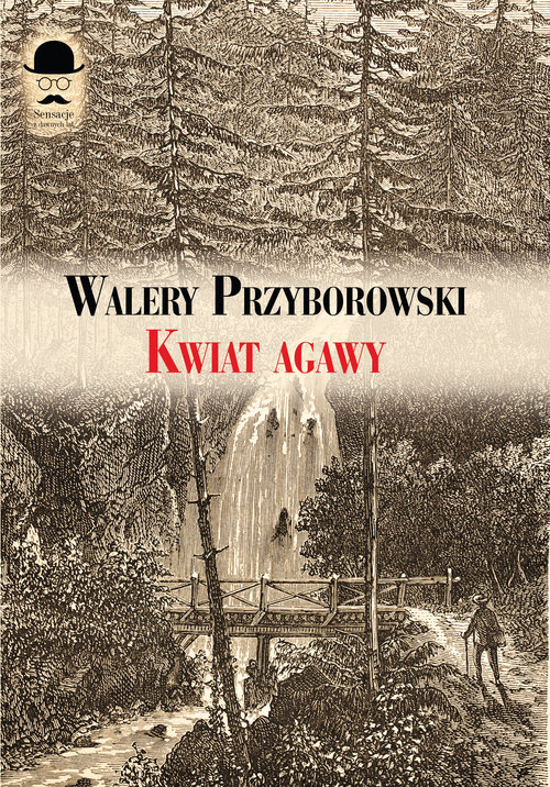 Image of Kwiat agawy
