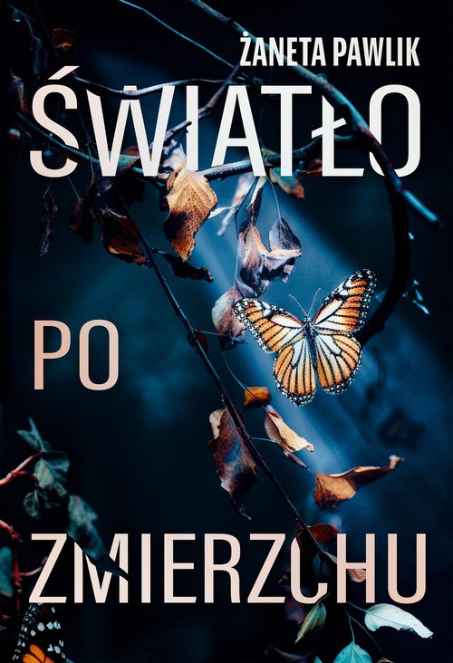 Image of Światło po zmierzchu