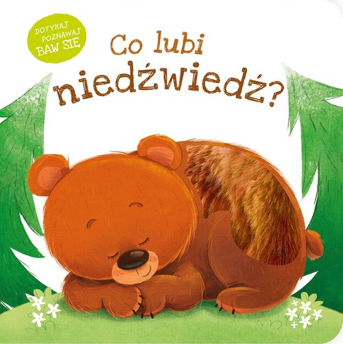 Image of Co lubi niedźwiedź?