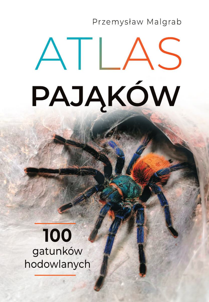 Image of Atlas pająków