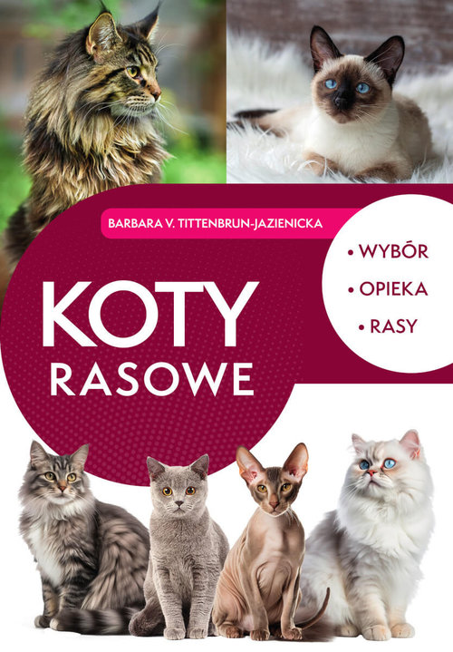 Image of Koty rasowe. Wybór, opieka, rasy