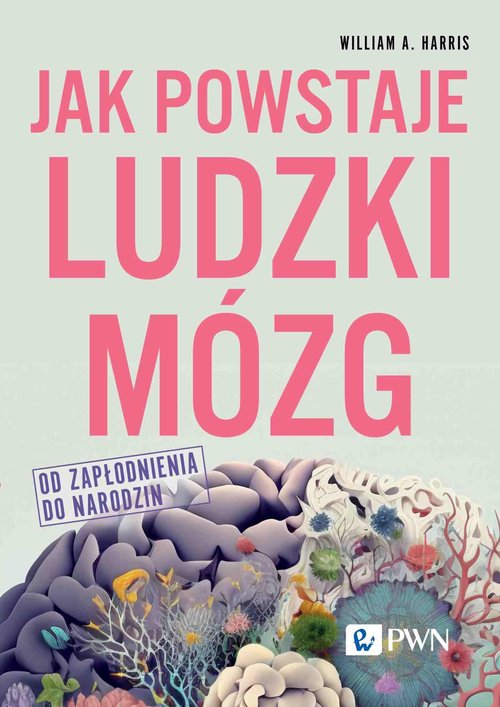 Image of Jak powstaje ludzki mózg Od zapłodnienia do narodzin