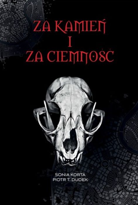 Image of Za kamień i za ciemność