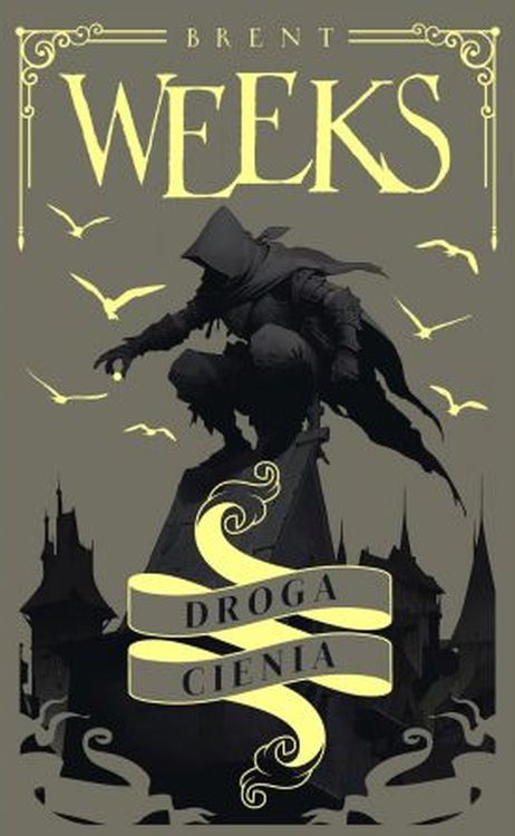 Image of Droga Cienia. Trylogia Anioła Nocy. Tom 1