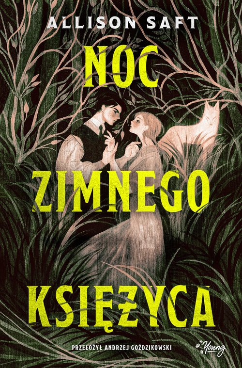 Image of Noc Zimnego Księżyca