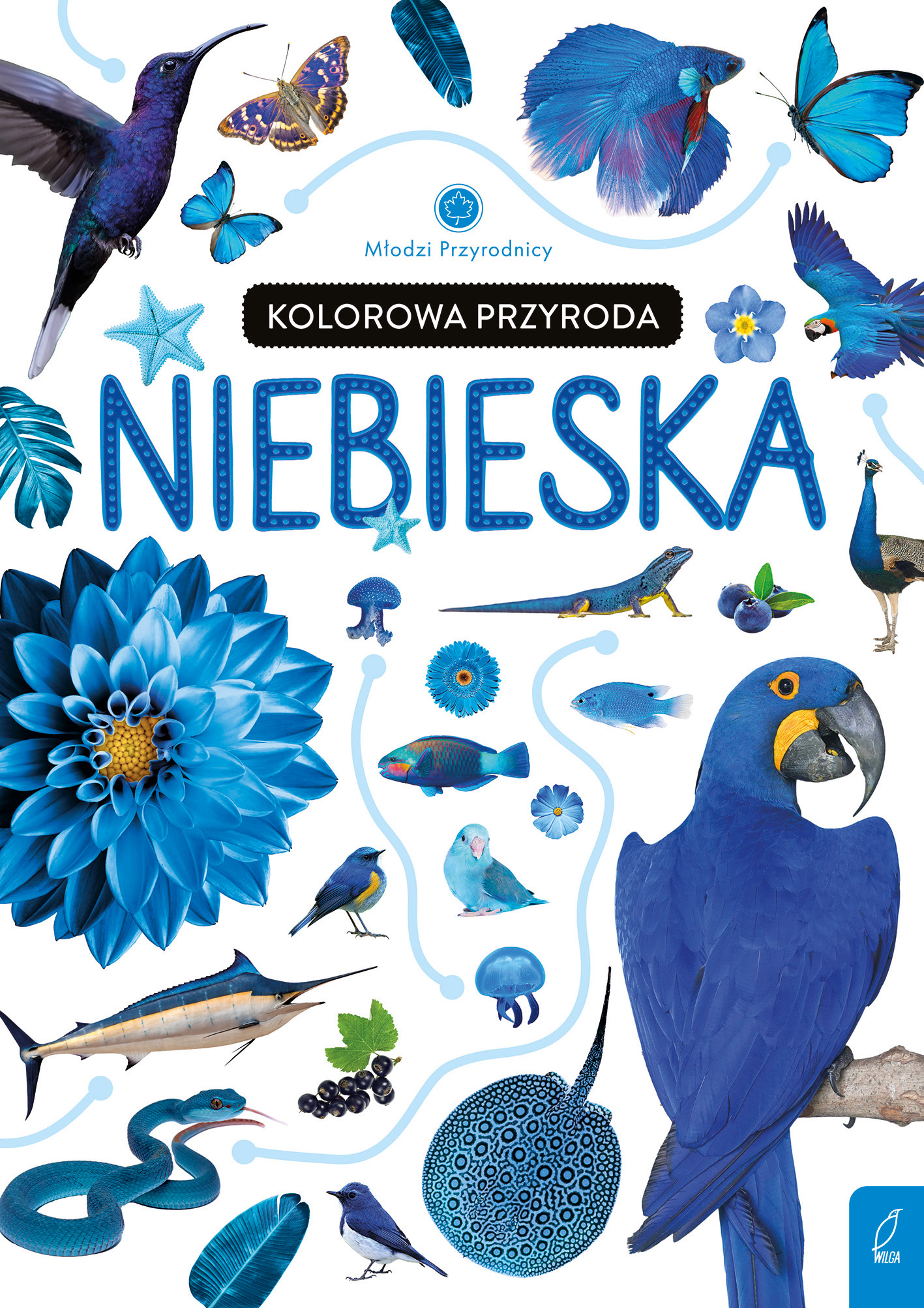 Image of Kolorowa przyroda. Niebieska. Młodzi przyrodnicy
