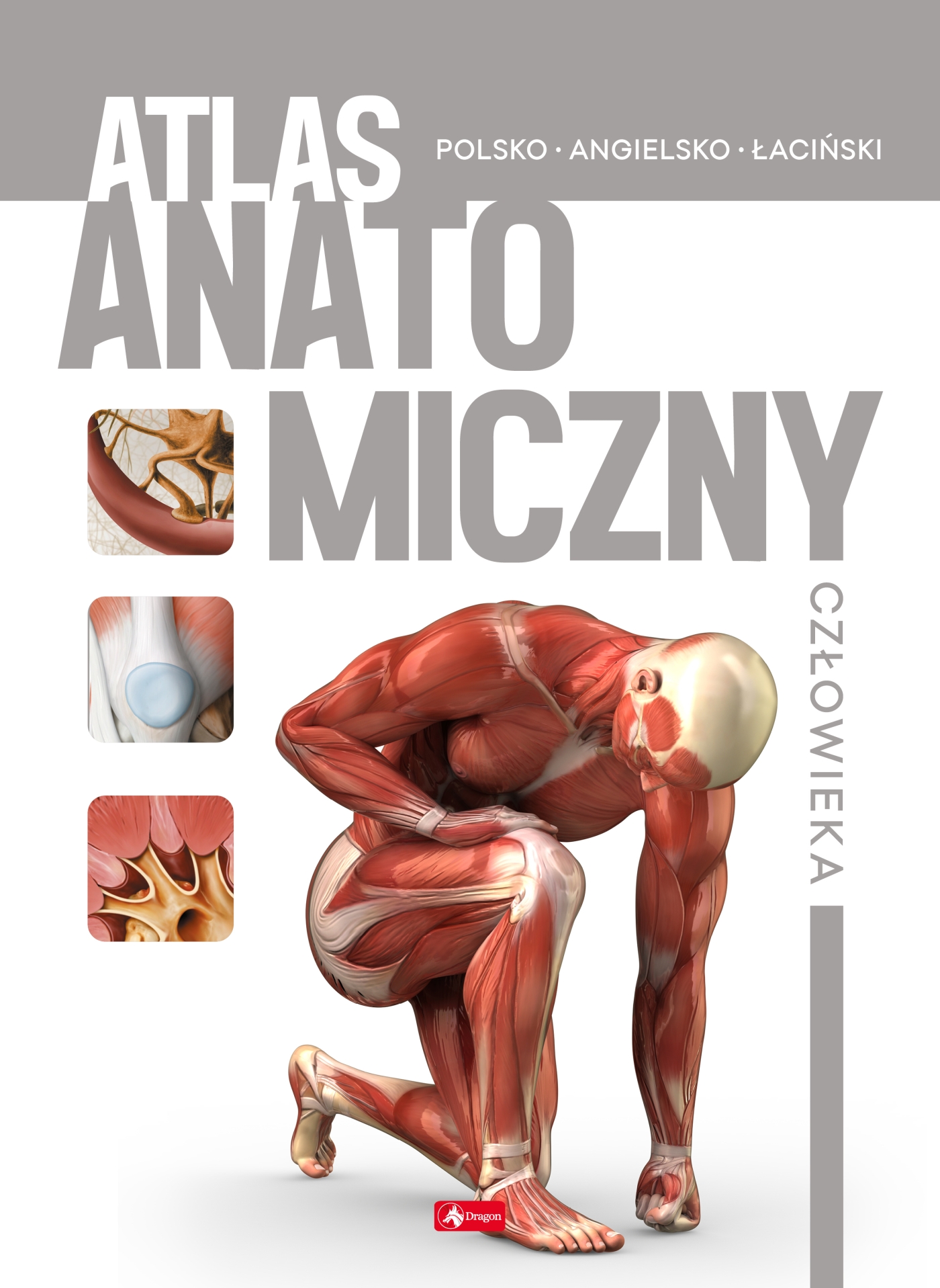 Image of Atlas anatomiczny człowieka