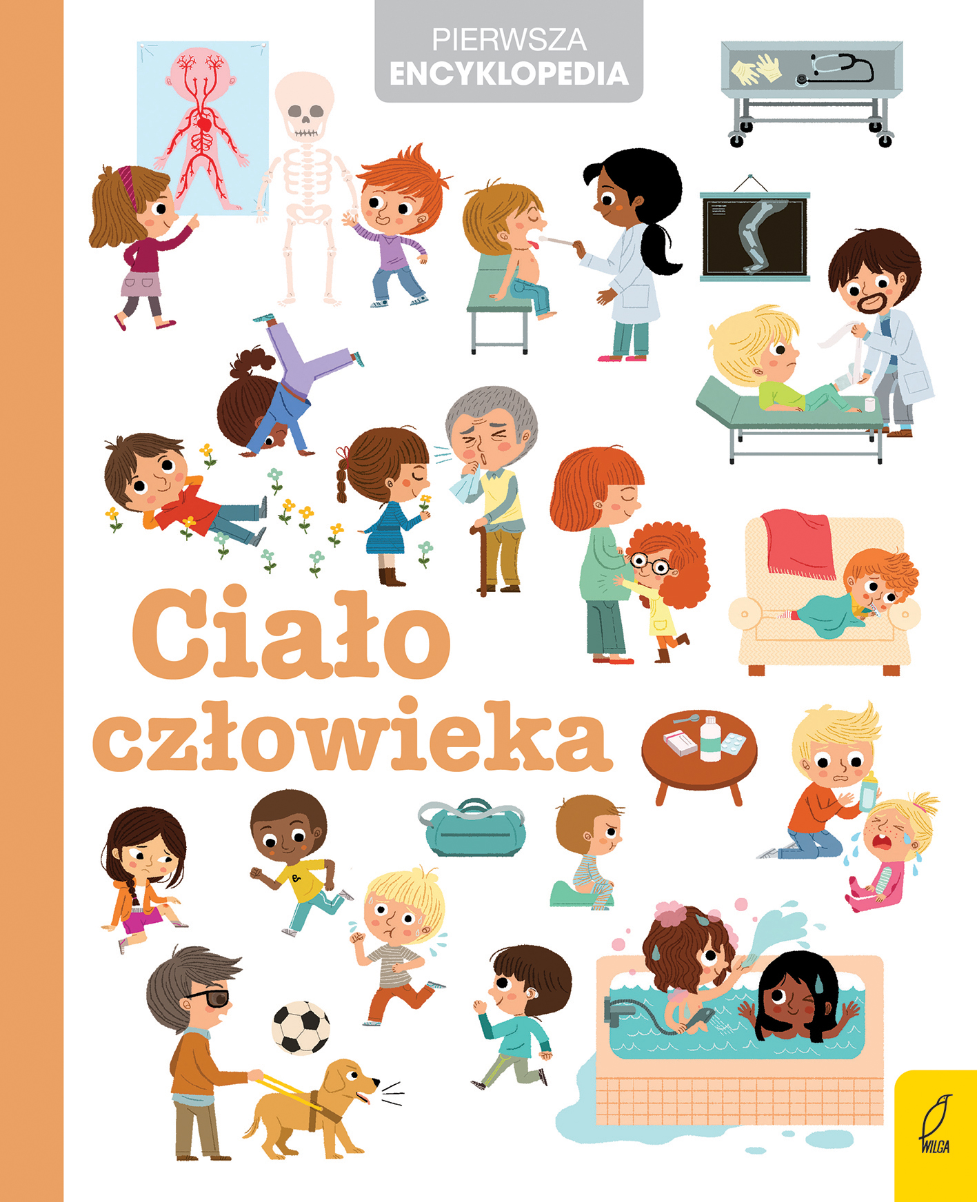 Image of Ciało człowieka. Pierwsza encyklopedia