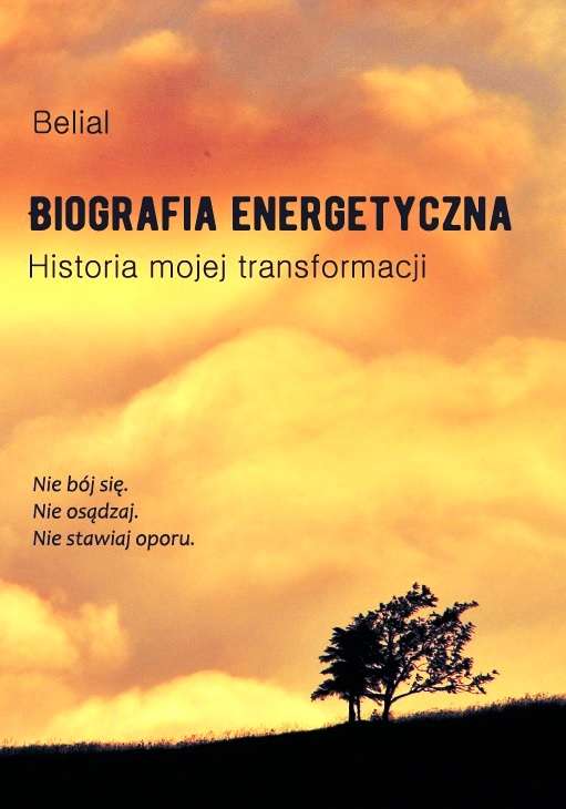 Image of Biografia energetyczna historia mojej transformacji