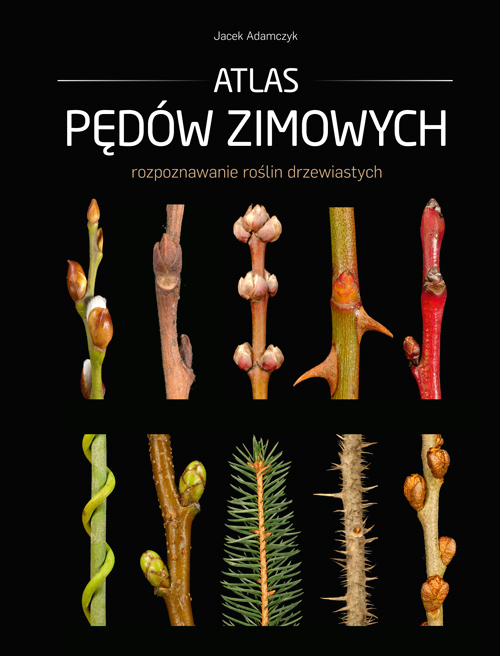 Image of Atlas pędów zimowych