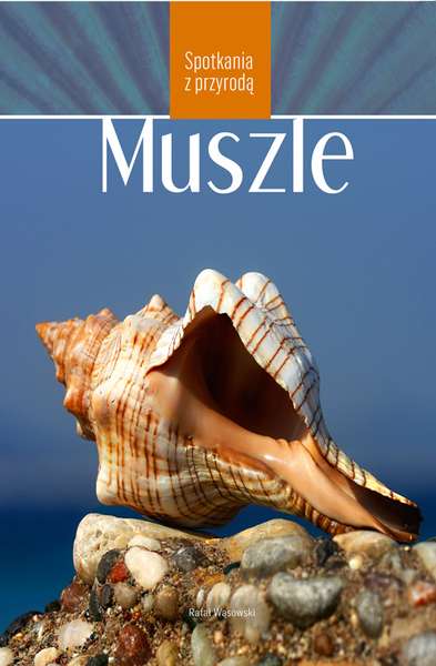 Image of Muszle