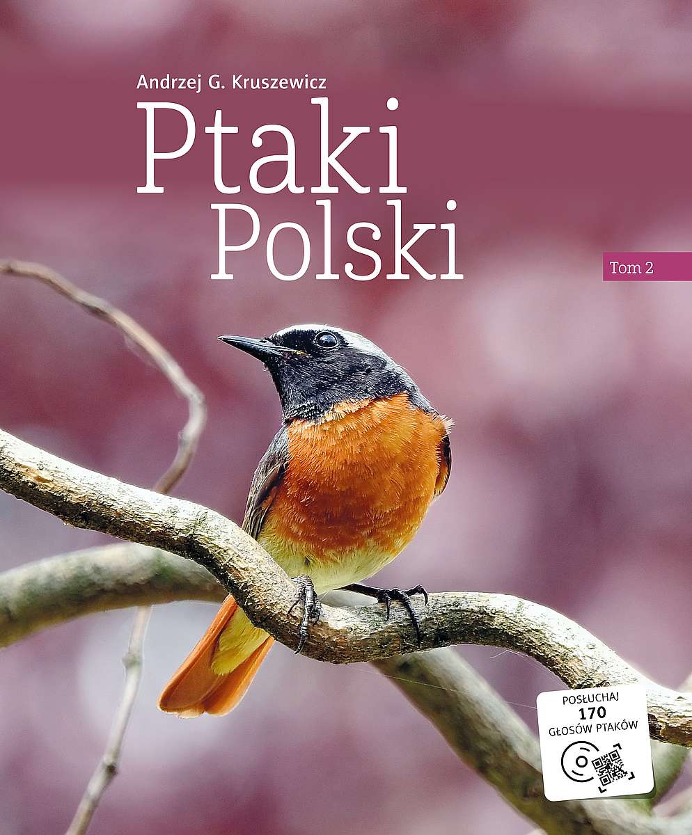 Image of Ptaki Polski. Tom 2