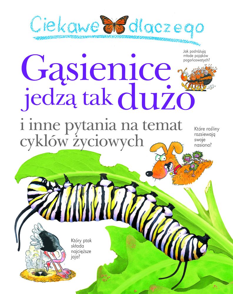 Image of Ciekawe dlaczego gąsienice jedzą tak dużo