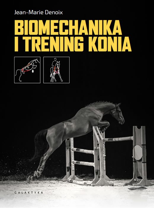 Image of Biomechanika i trening konia