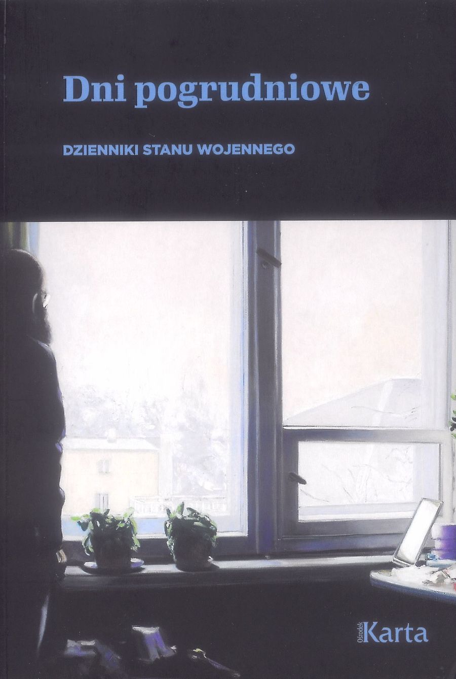 Image of Dni pogrudniowe. Dzienniki stanu wojennego