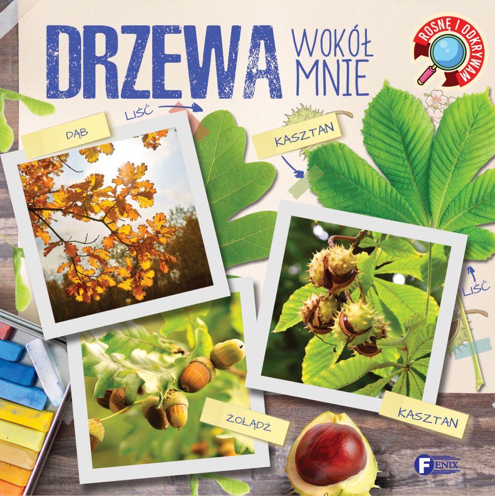 Image of Drzewa wokół mnie. Rosnę i odkrywam