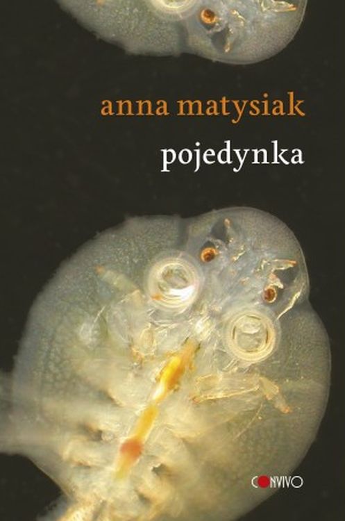 Image of Pojedynka