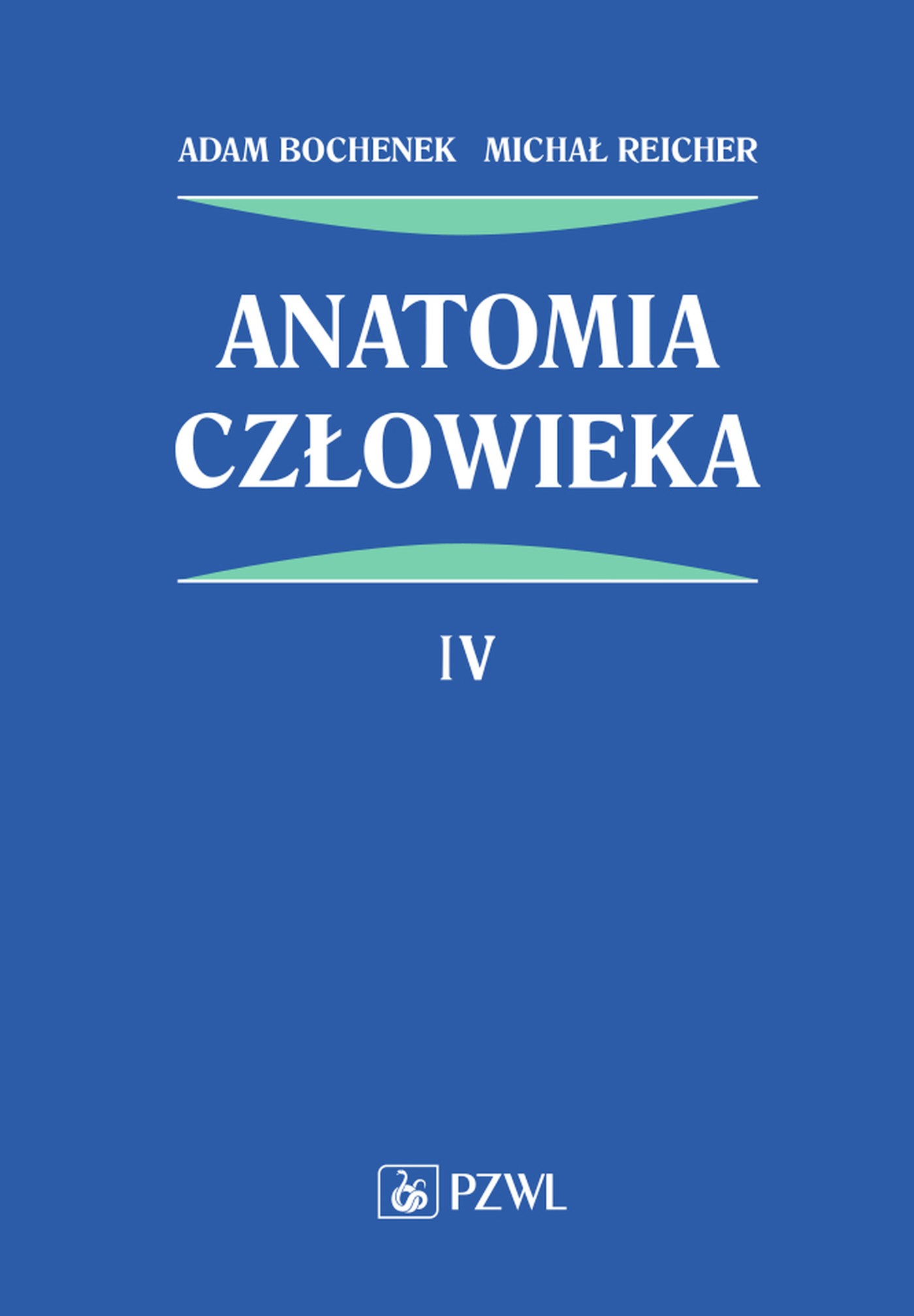 Image of AnaTomia człowieka. Tom 4