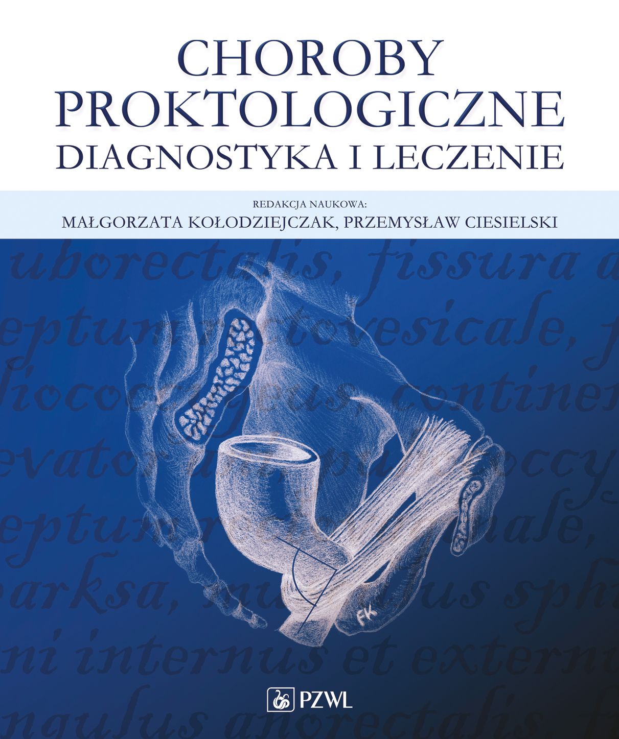 Image of Choroby proktologiczne. Diagnostyka i leczenie