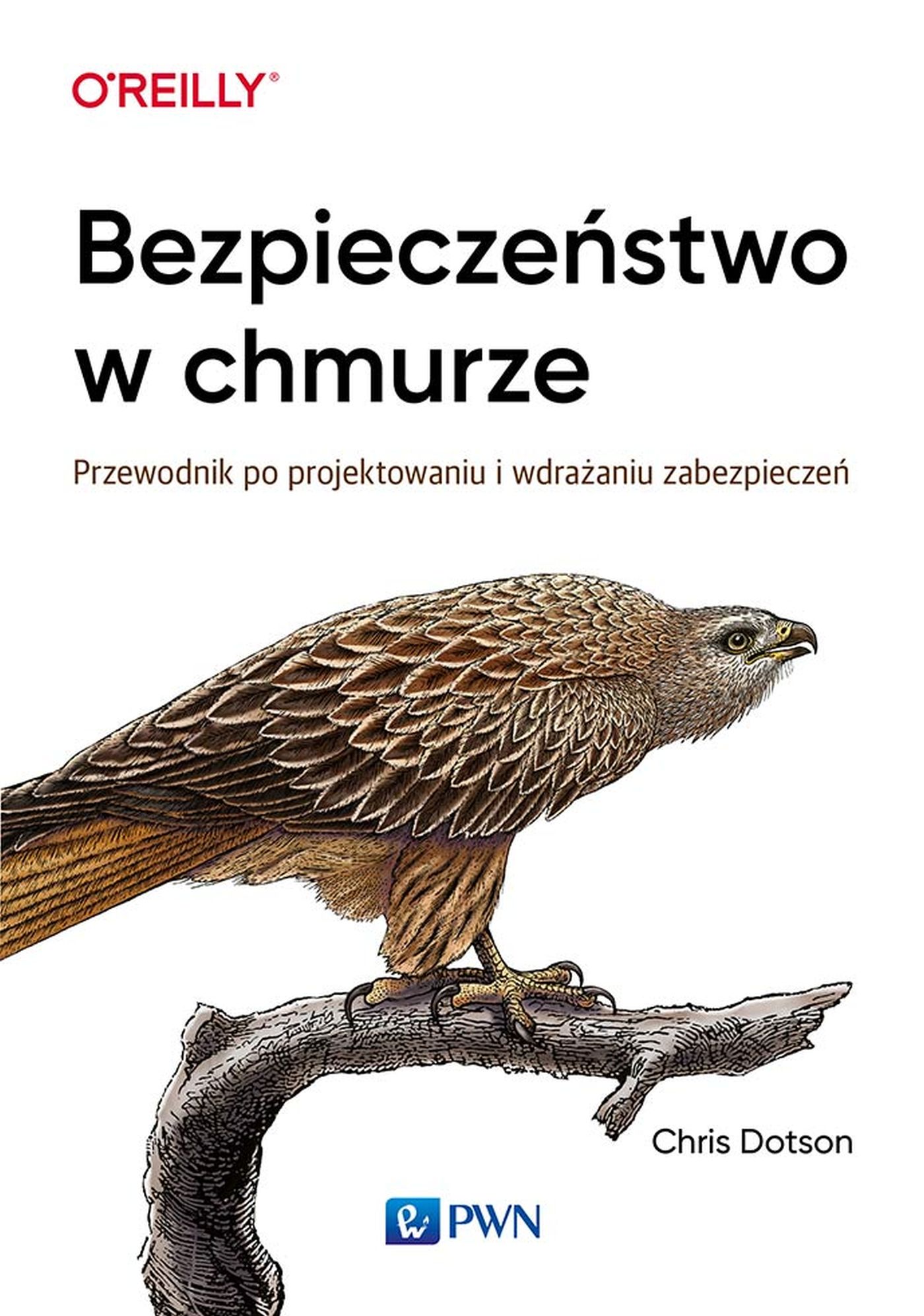 Image of Bezpieczeństwo w chmurze przewodnik po projektowaniu i wdrażaniu zabezpieczeń