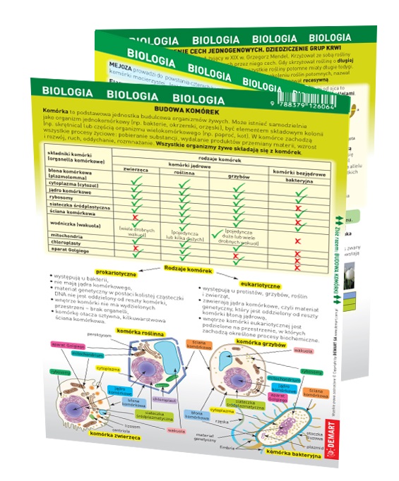 Image of Biologia. MAXI ściąga
