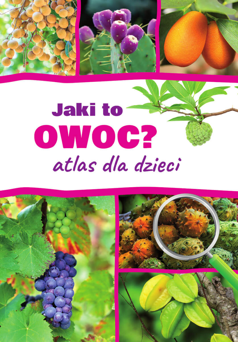 Image of Jaki to owoc? Atlas dla dzieci