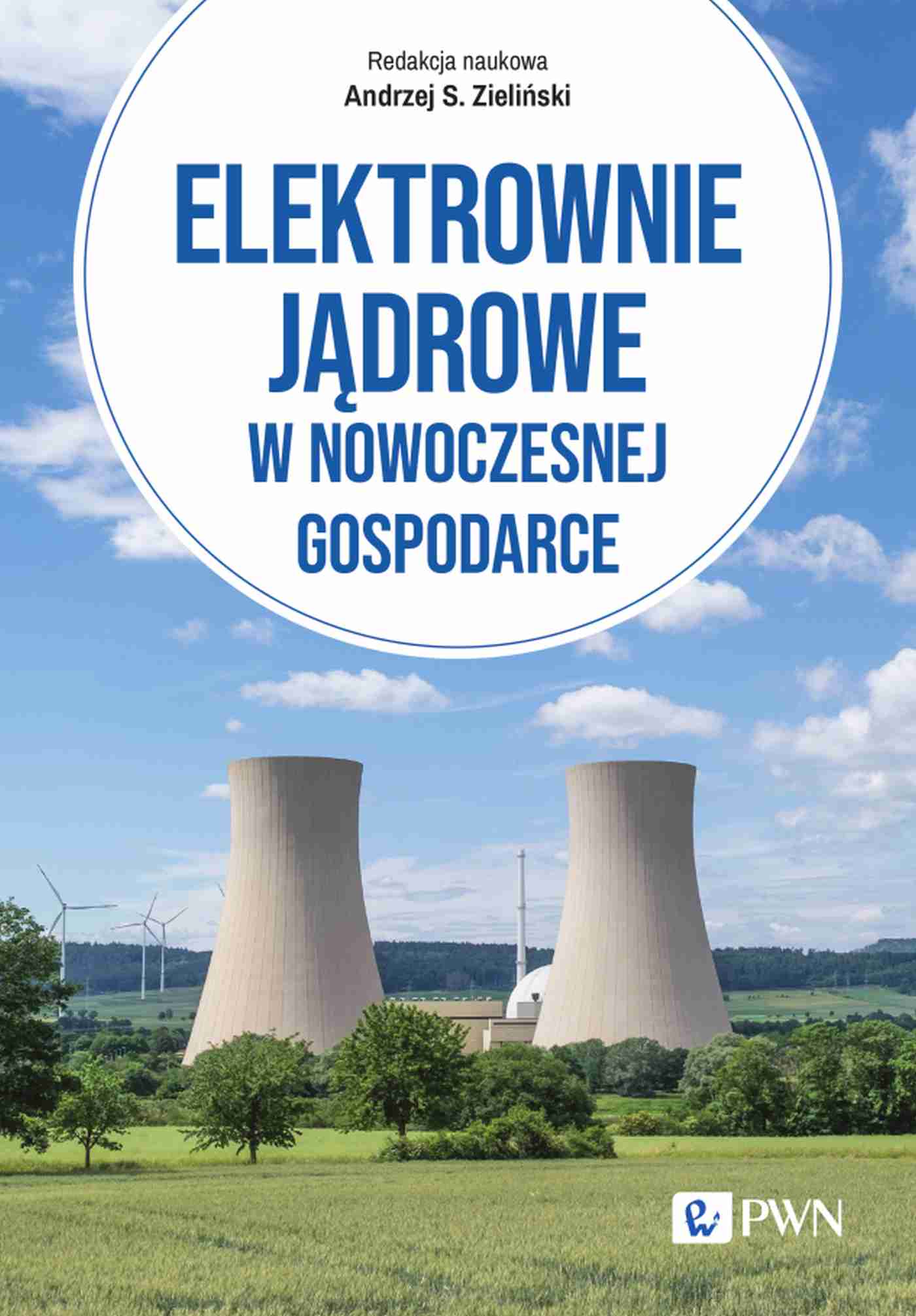 Image of Elektrownie jądrowe w nowoczesnej gospodarce. Technologie, ekonomika, bezpieczeństwo