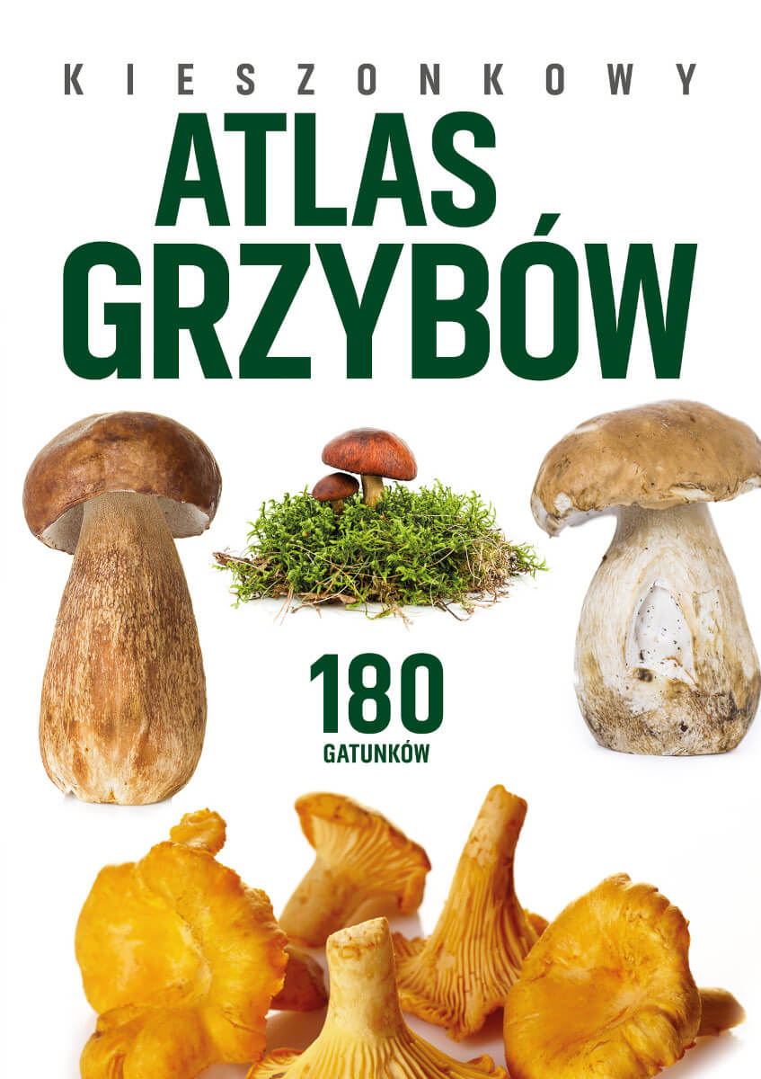 Image of Kieszonkowy atlas grzybów. 180 gatunków