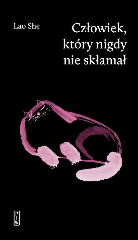 Image of Człowiek, który nigdy nie skłamał