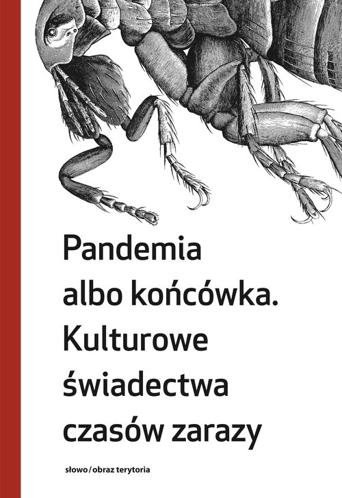 Image of Pandemia albo końcówka Kulturowe świadectwa czasów zarazy