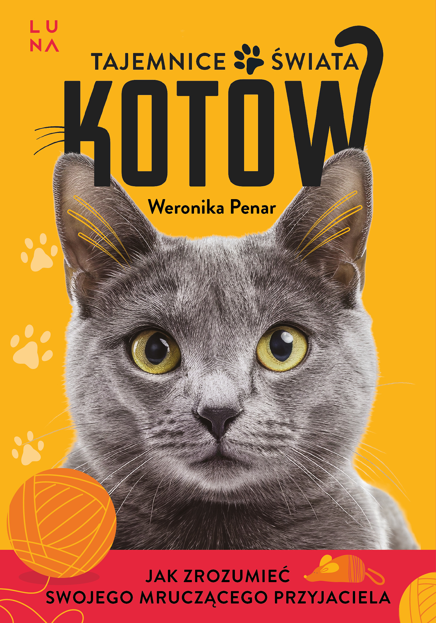 Image of Tajemnice świata kotów