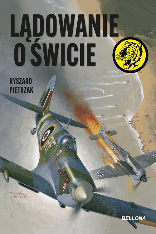 Image of Lądowanie o świcie