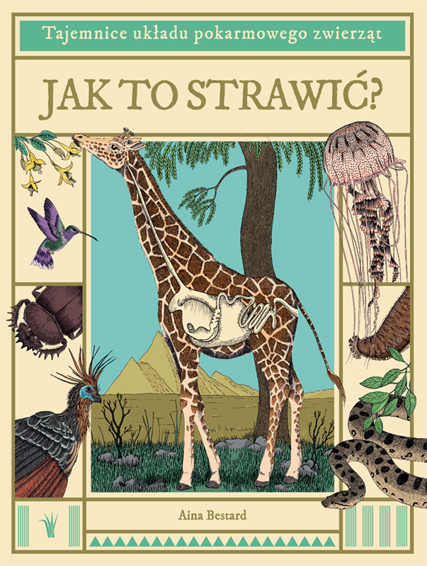 Image of Jak to strawić? Tajemnice układu pokarmowego zwierząt