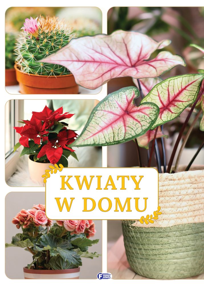 Image of Kwiaty w domu
