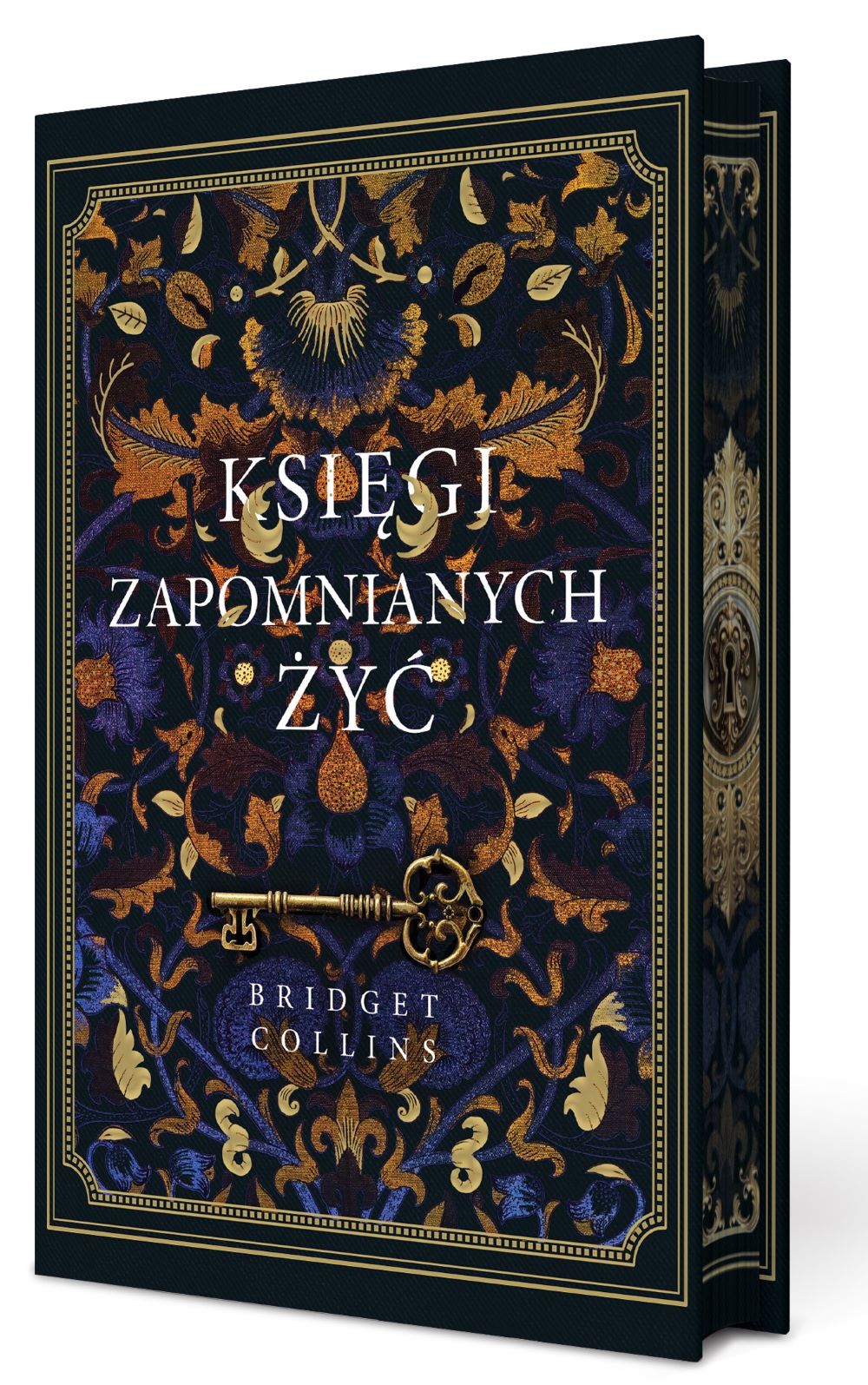 Image of Księgi zapomnianych żyć (ilustrowane brzegi)