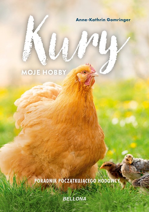 Image of Kury moje hobby Poradnik początkującego hodowcy