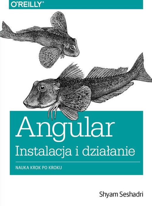 Image of Angular instalacja i działanie nauka krok po kroku dla programistów